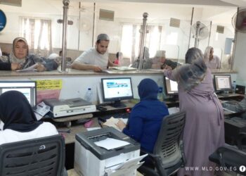 إنهاء 4699 معاملة متأخرة بالدقهلية وحملات مكثفة لرفع الإشغالات وضبط المخالفات