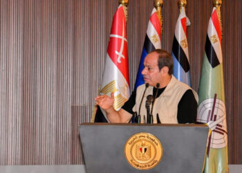 السيسي: بقول للمصريين اطمئنوا