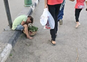 بائعة جرجير صغيرة تثير تعاطفًا واسعًا في أسيوط