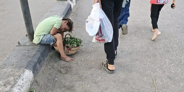 بائعة جرجير صغيرة تثير تعاطفًا واسعًا في أسيوط