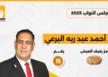 أحمد عبد ربه