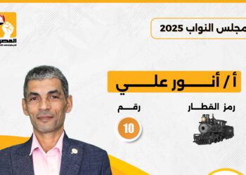 أنور علي