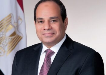 السيسي: «التوصية اللي تكتبها في الجورنال غير تنفيذها»