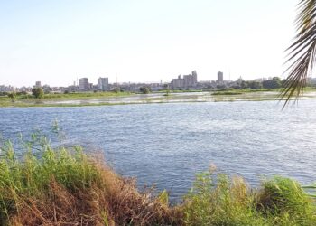 ارتفاع منسوب النيل يغمر أراضي جزيرة قرية بني مر بأسيوط