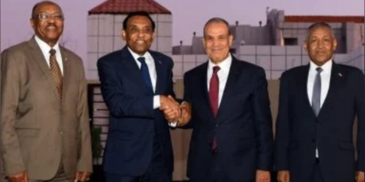 وزير الخارجية: مصر والسودان يرفضان الإجراءات الأحادية في نهر النيل