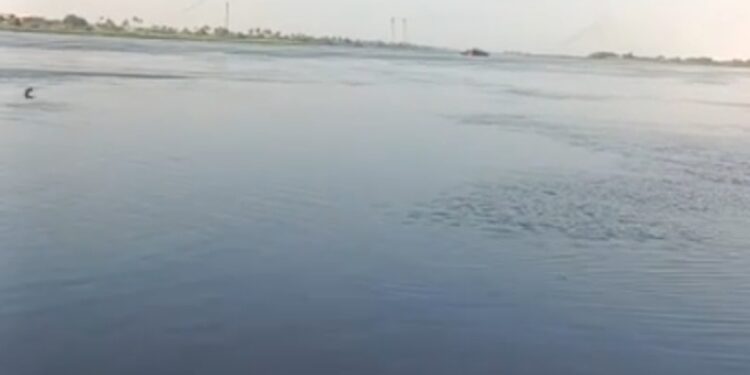 أراضي طرح النهر.. غرق متكرر وسيناريو ثابت لــ فيضان النيل