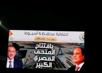 أسيوط تتزين احتفالًا بافتتاح المتحف المصري الكبير اليوم.. وشاشات عرض في 92 موقعًا لمتابعة الحدث العالمي
