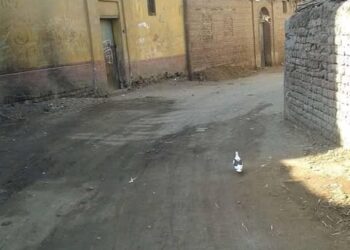 عرب الأطاولة