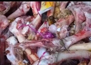 الطب البيطري بسوهاج يوضح حقيقة العظام الملقاة في القمامة: «ليست عظام كلاب»