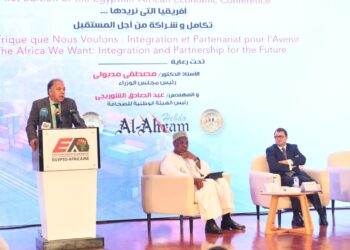 الجبلي: تعزيز الحضور الاقتصادي المصري في أفريقيا ضرورة استراتيجية لاستكمال النجاح السياسي