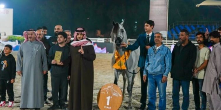 بطولة البحرين الوطنية لجمال الخيل العربية