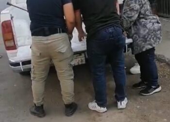 الطب البيطري بأكتوبر يبدأ حملة لتطعيم الكلاب الحرة