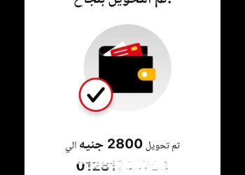 مواطن يستغيث بحماية المستهلك بعد تعليق تحويل 2800 جنيه بين “اتصالات كاش” و”أورنج كاش”