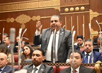 النائب أيمن الصفتي يرفض تعديل قانون الكهرباء ويطالب بمراجعة شاملة لبنوده