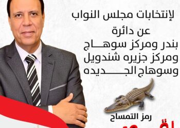 شندويل قالت كلمتها العمده دياب نائب دائرتها