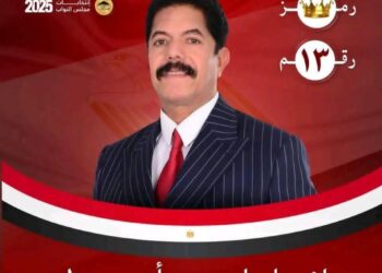 إرادة المواطنين تنتصر للحديوي في جولة الإعادة بالدائرة الرابعة بسوهاج