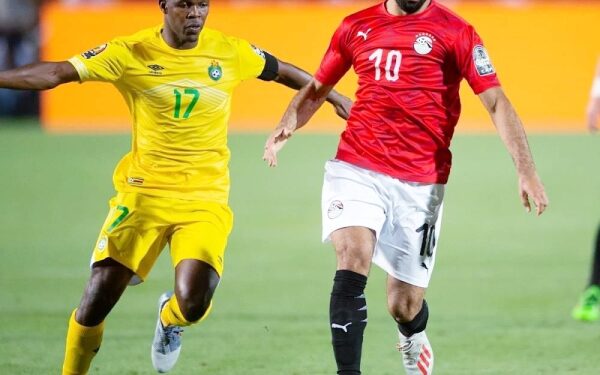 بث مباشر مباراة مصر وزيمبابوي في كأس الأمم الإفريقية 2026