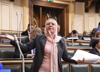 النائبة ريهام عبد النبي تتقدم بطلب إحاطة بشأن توقف العمل بالوحدة الصحية بقرية الكِمان بالأقصر