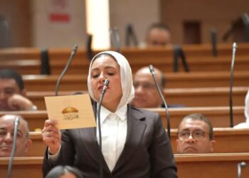 طلب إحاطة برلماني حول استبدال قطارات VIP بقطارات «أبو الهول» على خط القاهرة–أسوان