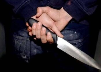 مصرع فلاح على يد زوج شقيقته بسبب المرور داخل قطعة أرض زراعية ببني سويف