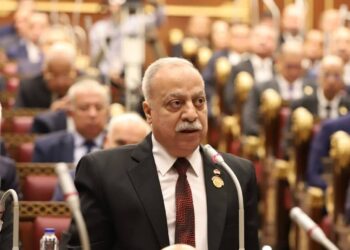 النائب حسني سبالة يطالب بإنشاء وحدة جوازات سفر بمدينة زفتى لتخفيف المعاناة عن المواطنين