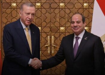 الرئيس السيسي: مصر هي الشريك التجاري الأول لتركيا 