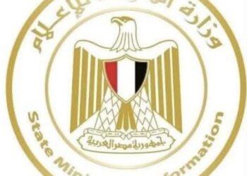 وزارة الدولة للإعلام تؤكد كذب شائعة سفينة أبو قير
