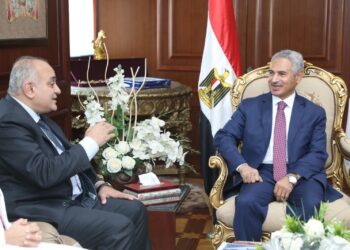 محافظ بني سويف يلتقى نائب وزير المالية