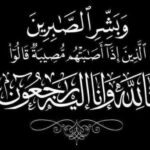 محمود حسني علي