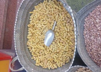 ضبط مواد كيميائية تُستخدم في تلوين اللب والفول السوداني بأسيوط